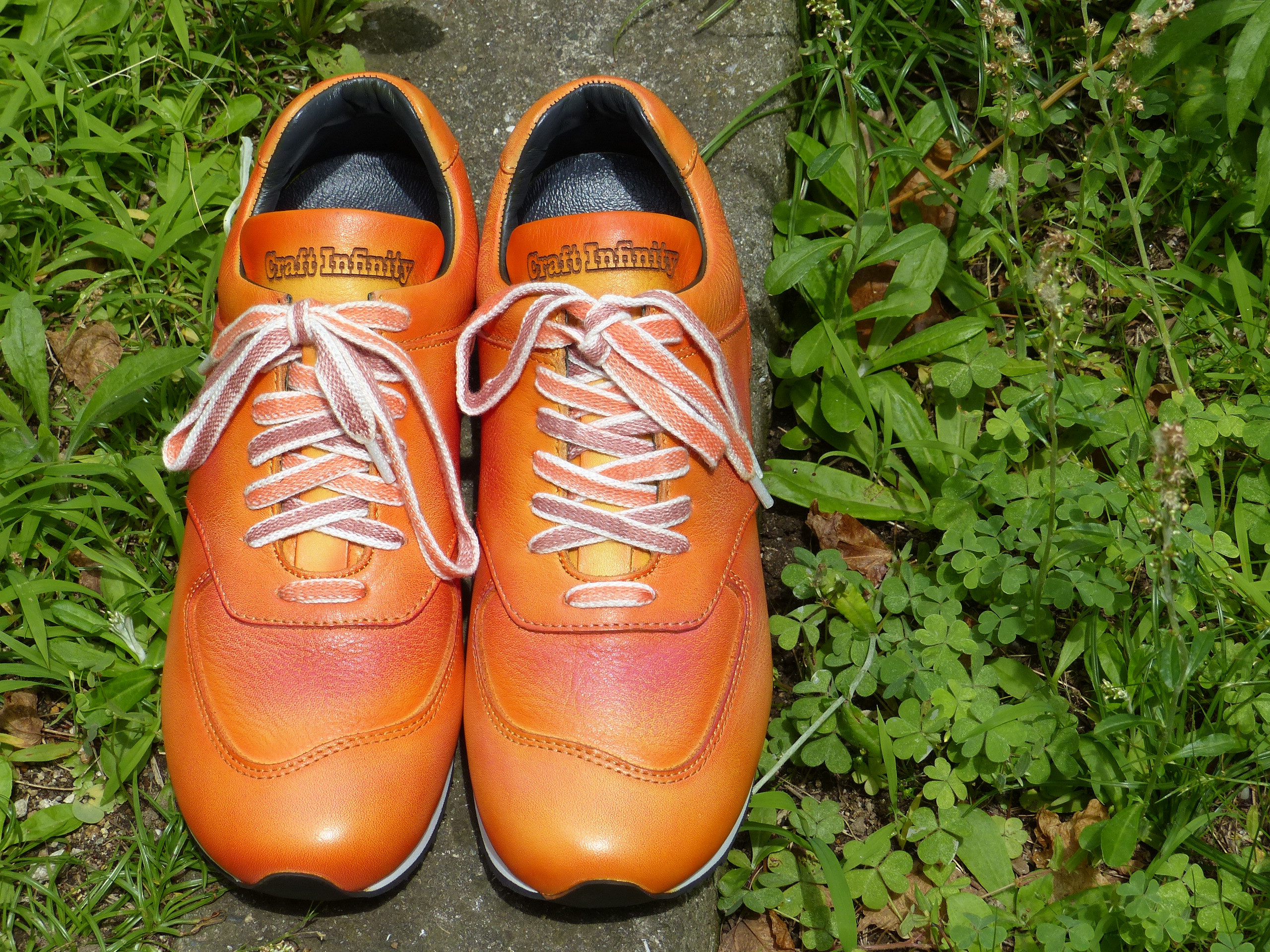 P1580631.jpg